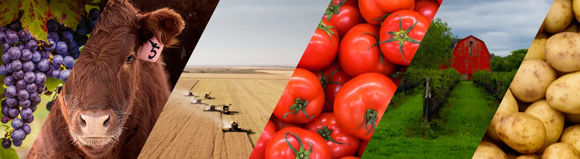 Agriculture Background Image